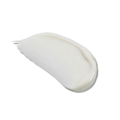X-ZEM de la tête aux pieds